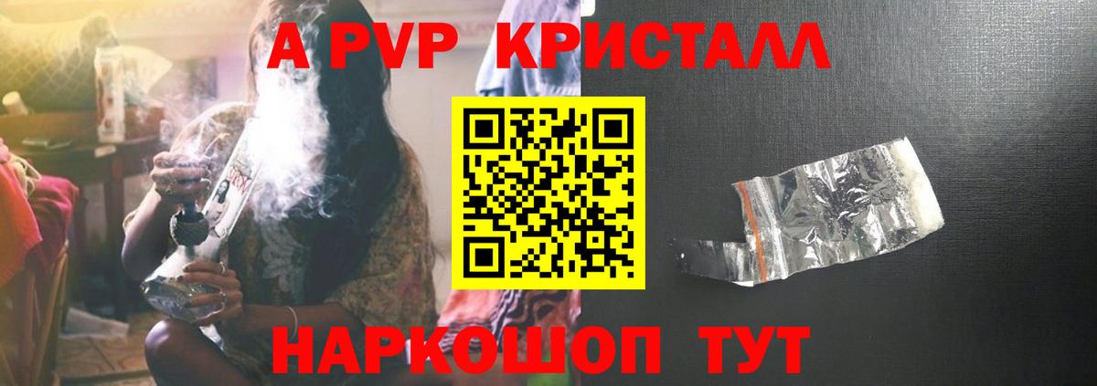 A PVP СК КРИС Вольск