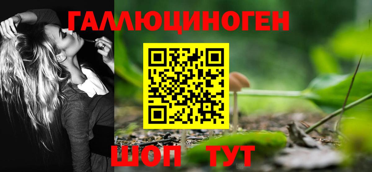 Псилоцибиновые грибы GOLDEN TEACHER  купить наркотики цена  Вольск  Галлюциногенные грибы ЛСД  Вход с VPN 